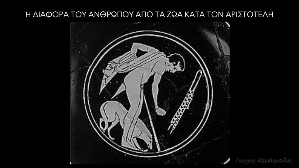 Η διαφορά του ανθρώπου από τα ζώα κατά τον Αριστοτέλη - Γιώργος Χαραλαμπίδης